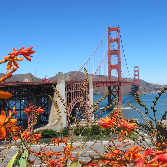 Meet your Posher Elena - Picture 2 of 4